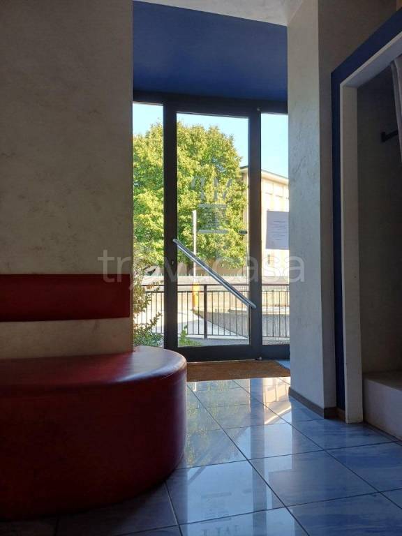 immagine annuncio 5 di 12