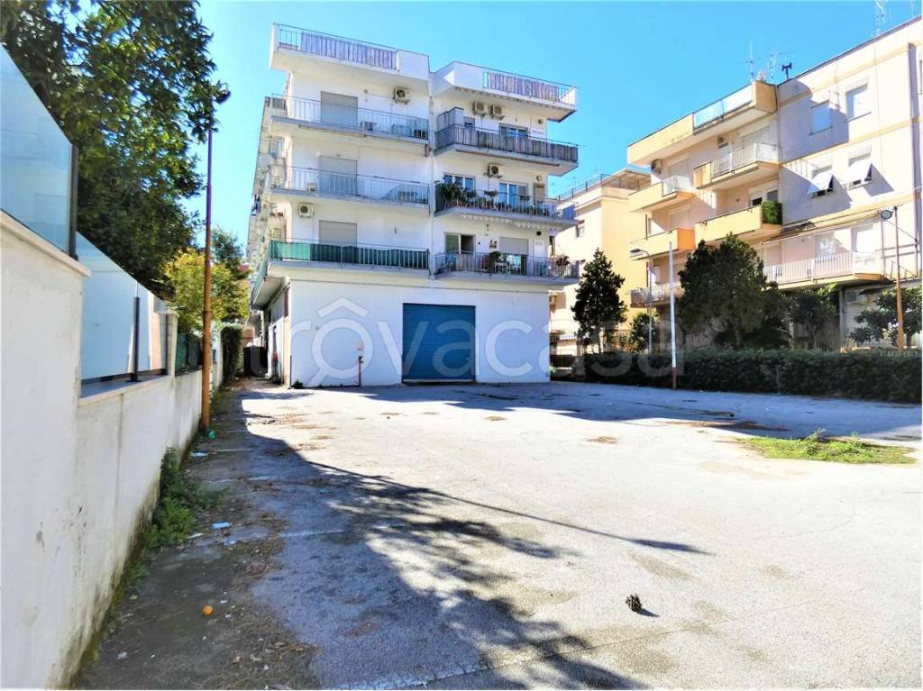 immagine annuncio 4 di 11