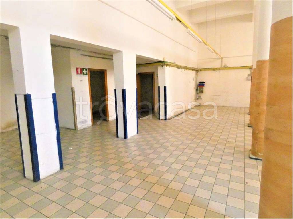 immagine annuncio 5 di 11