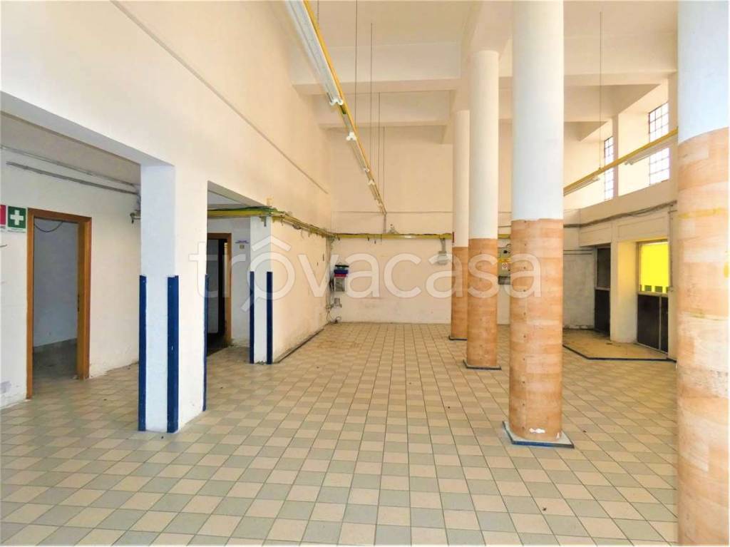 immagine annuncio 6 di 11