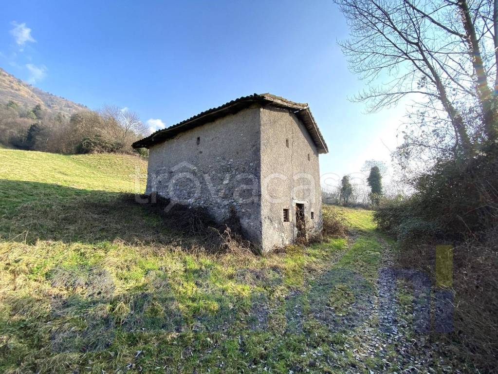 immagine annuncio 5 di 11