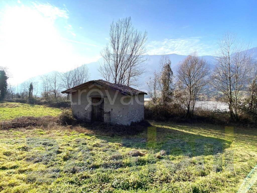 immagine annuncio 8 di 11