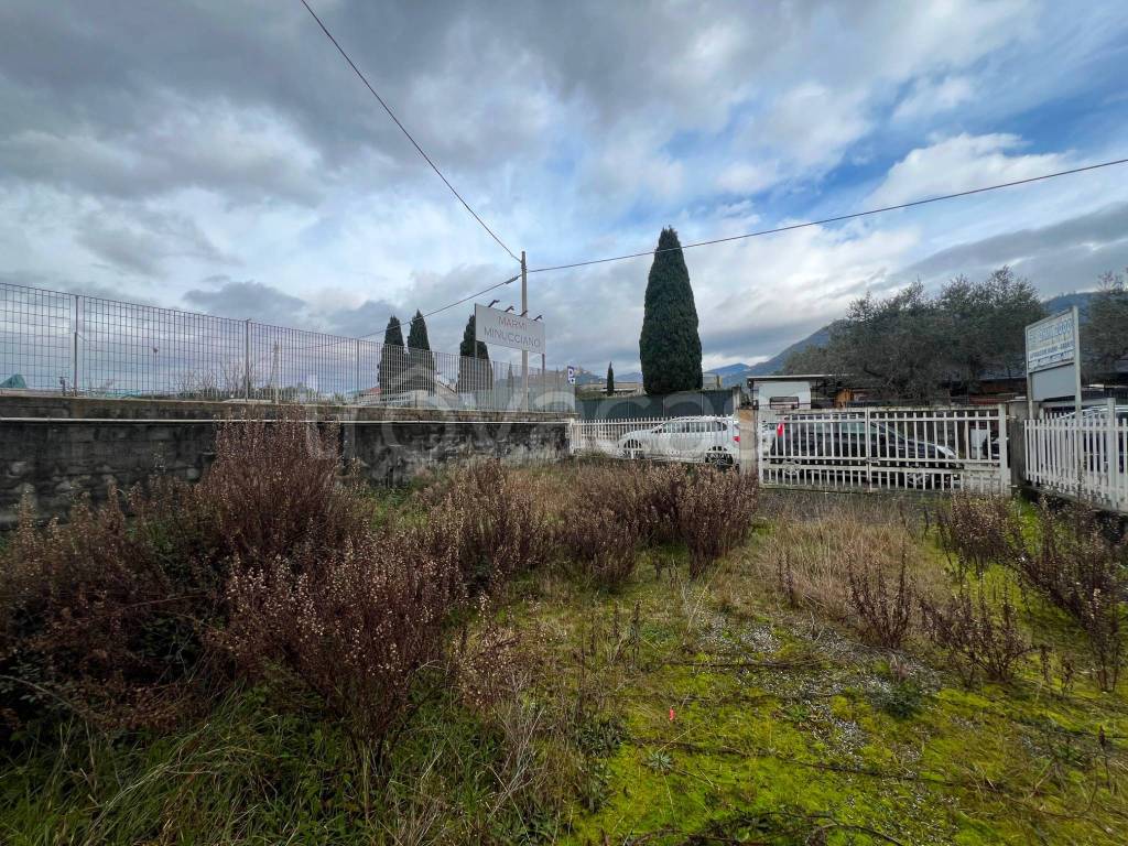 immagine annuncio 10 di 13