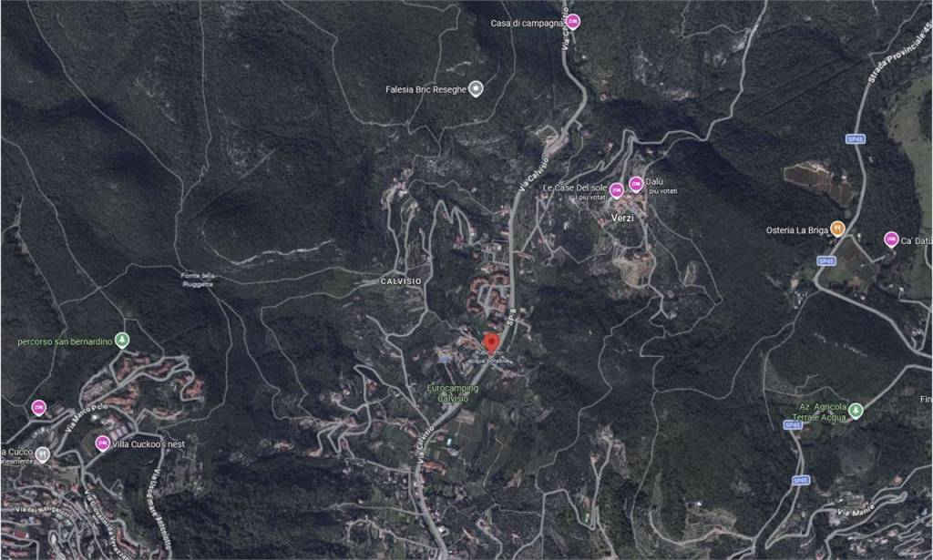 immagine annuncio 2 di 12