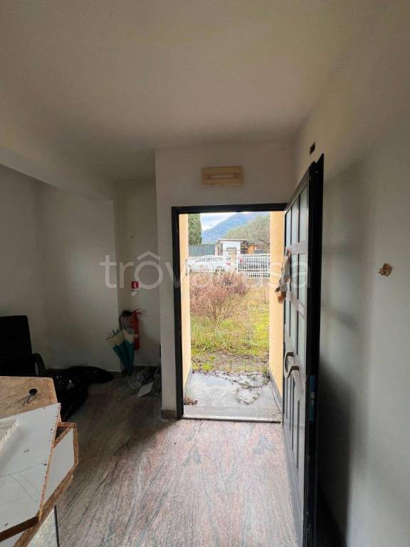 immagine annuncio 9 di 13