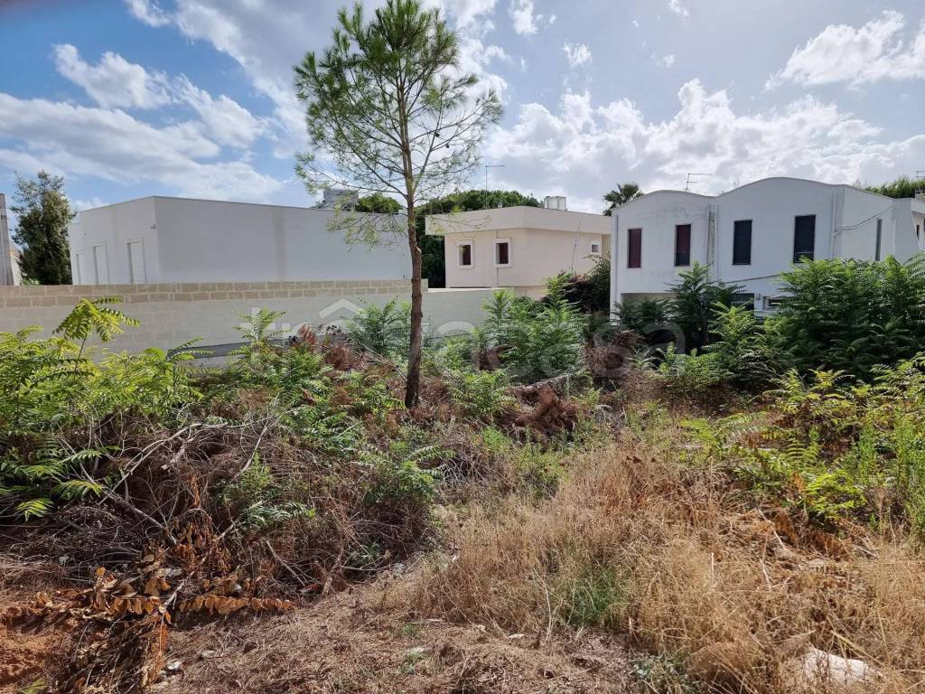 immagine annuncio 1 di 4