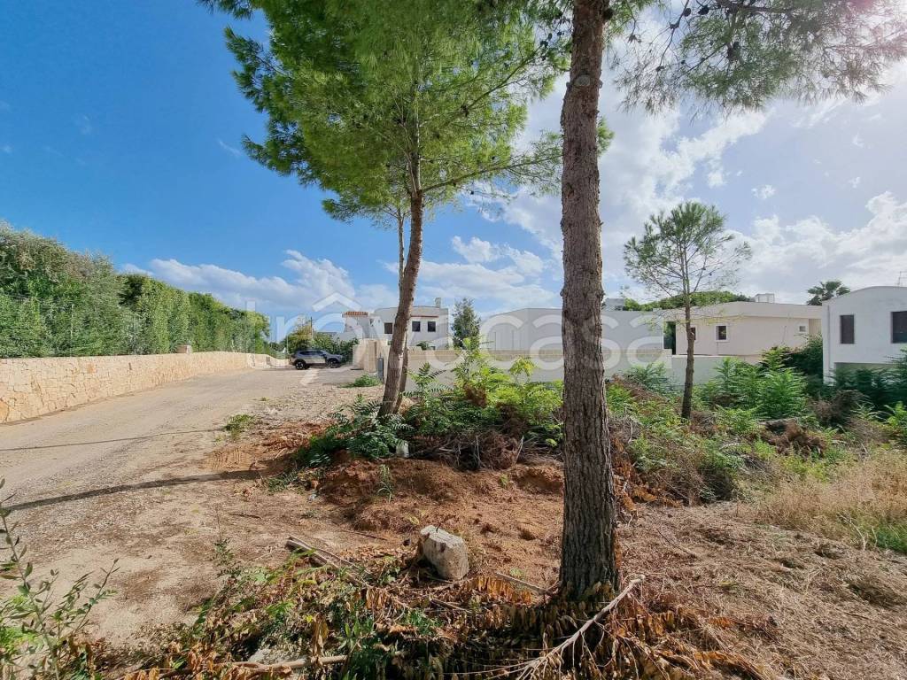 immagine annuncio 2 di 4