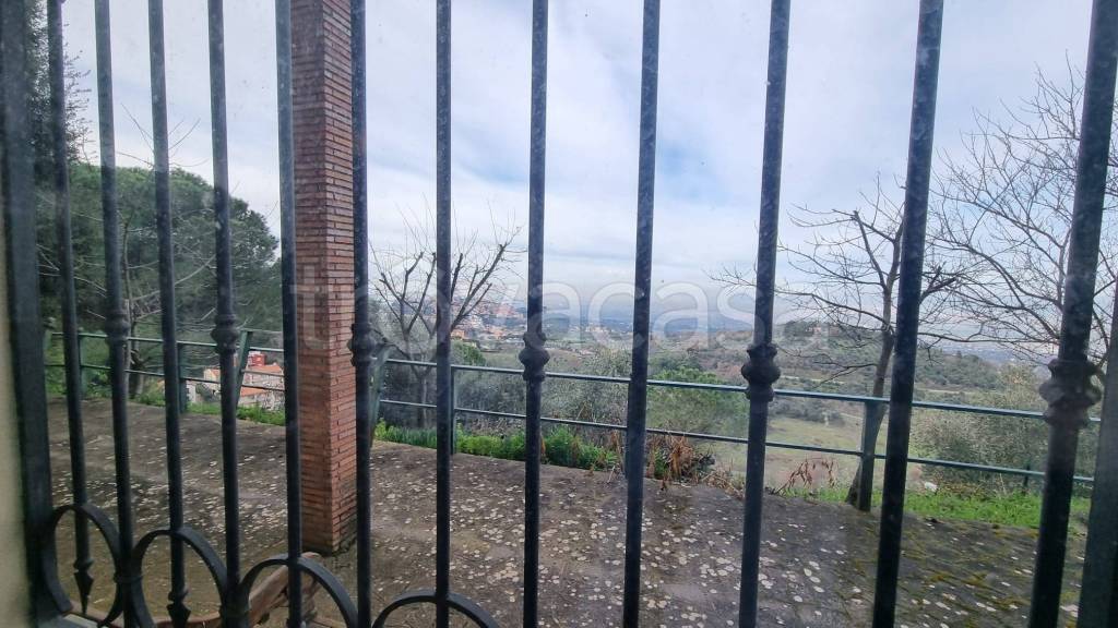 immagine annuncio 11 di 14