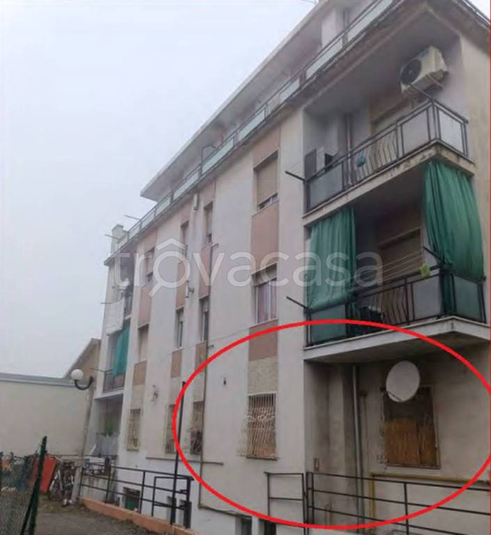 immagine annuncio 6 di 11