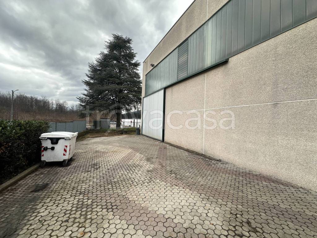 immagine annuncio 11 di 15