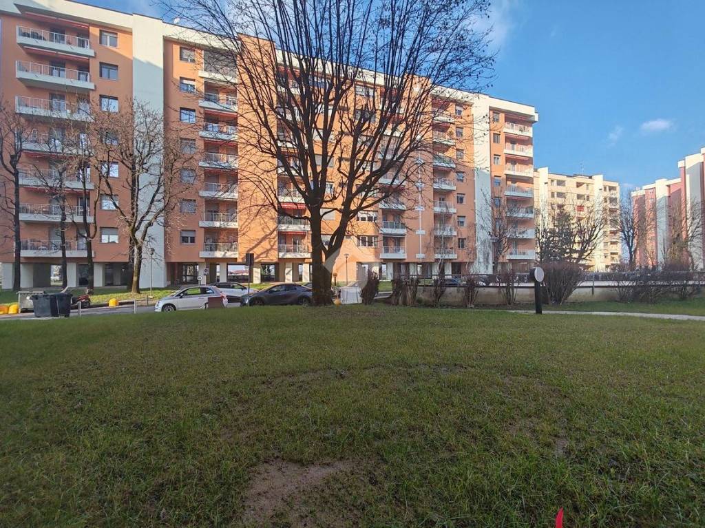 immagine annuncio 14 di 15