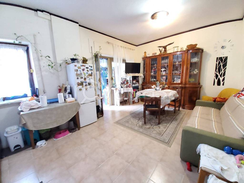 immagine annuncio 3 di 12