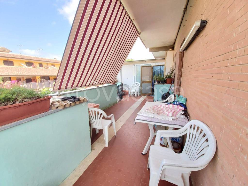 immagine annuncio 9 di 12