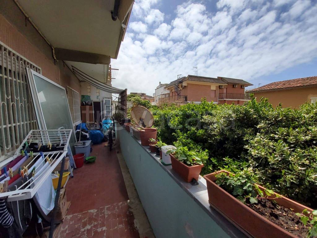 immagine annuncio 11 di 12