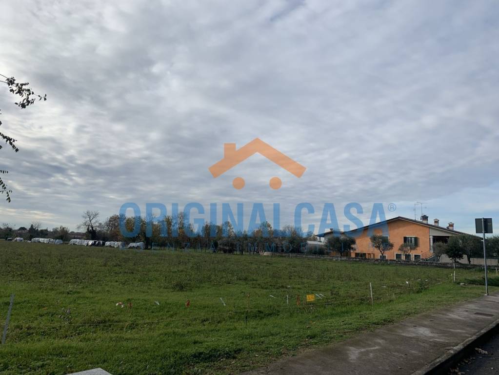 immagine annuncio 5 di 13