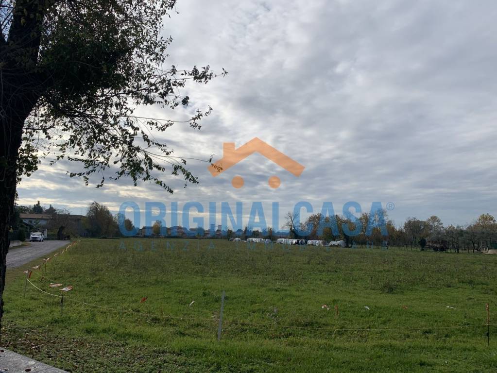 immagine annuncio 7 di 13