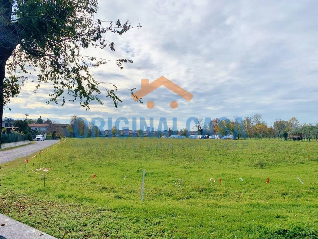 immagine annuncio 1 di 13