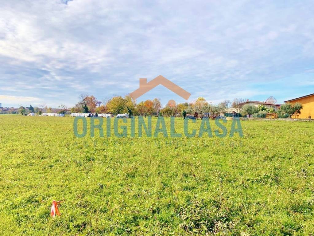 immagine annuncio 6 di 13