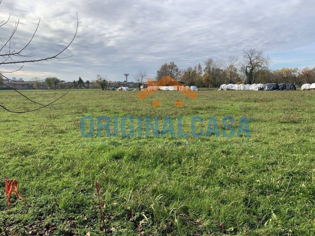 immagine annuncio 4 di 13