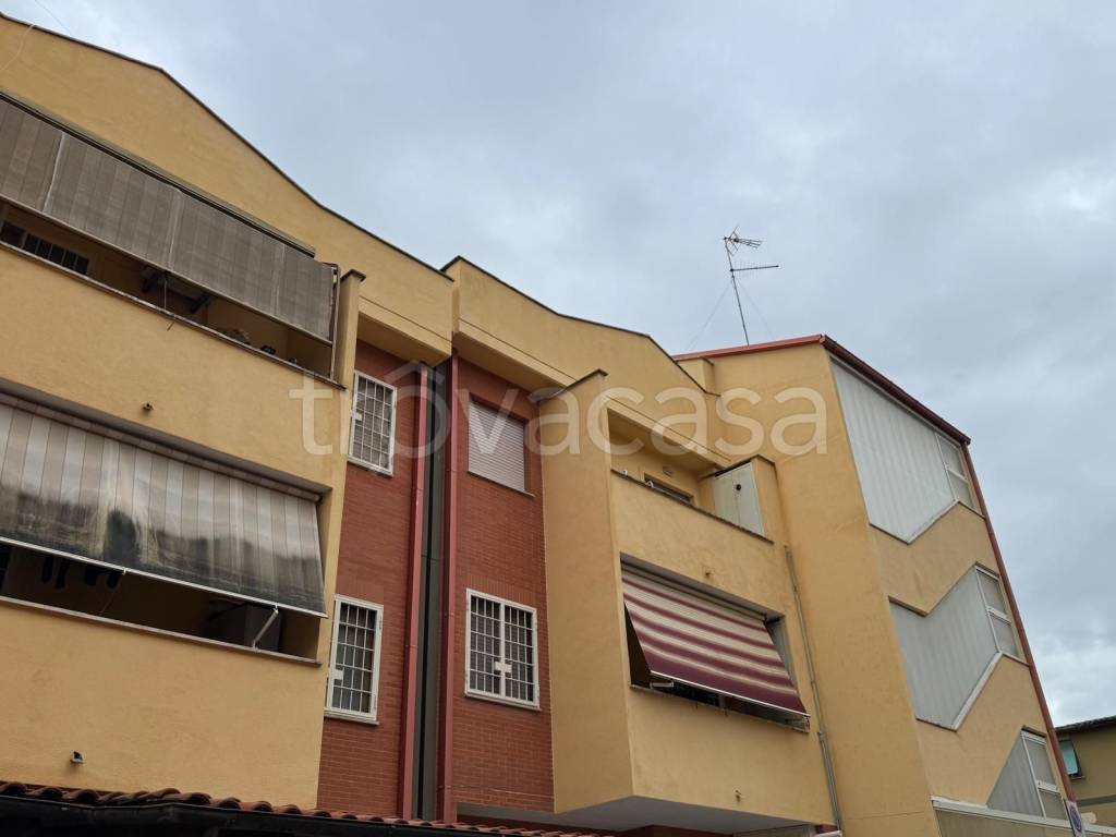 immagine annuncio 14 di 15