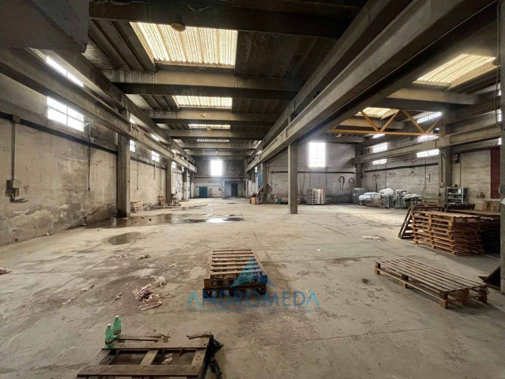 immagine annuncio 5 di 15