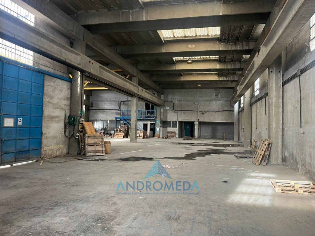 immagine annuncio 7 di 15