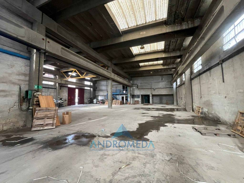 immagine annuncio 9 di 15