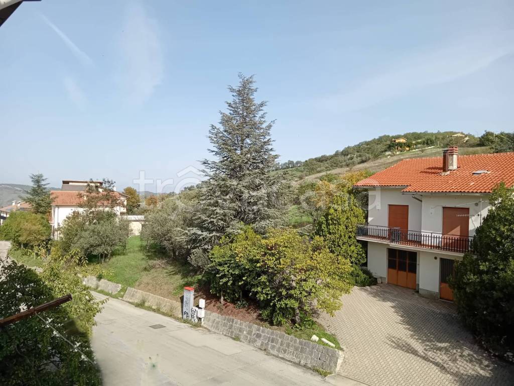 immagine annuncio 4 di 14