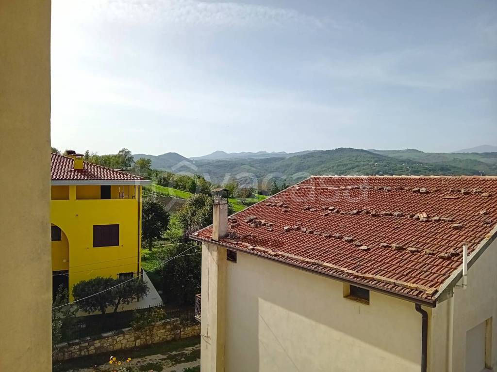 immagine annuncio 6 di 14