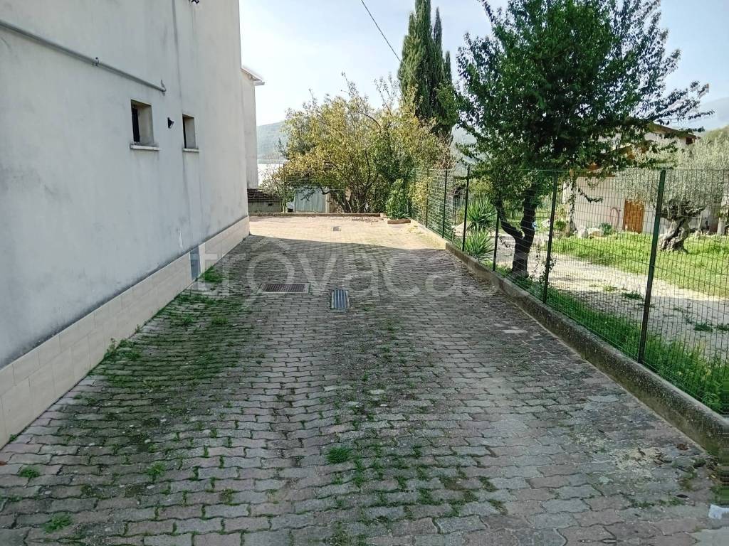 immagine annuncio 12 di 14