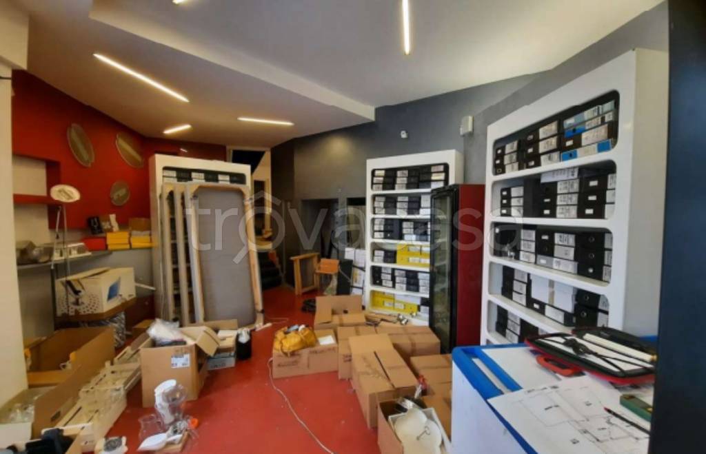 immagine annuncio 4 di 11