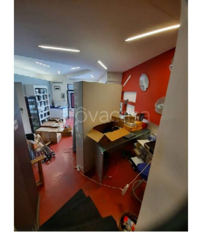 immagine annuncio 6 di 11