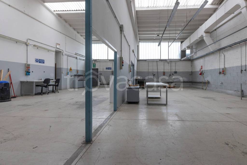 immagine annuncio 10 di 15