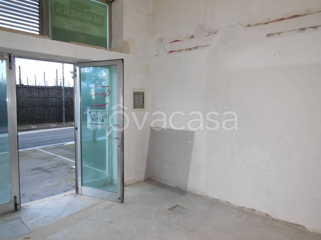 immagine annuncio 1 di 7