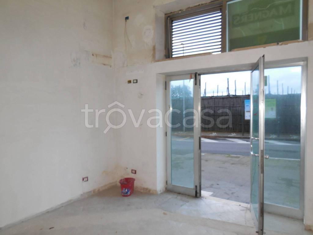 immagine annuncio 3 di 7