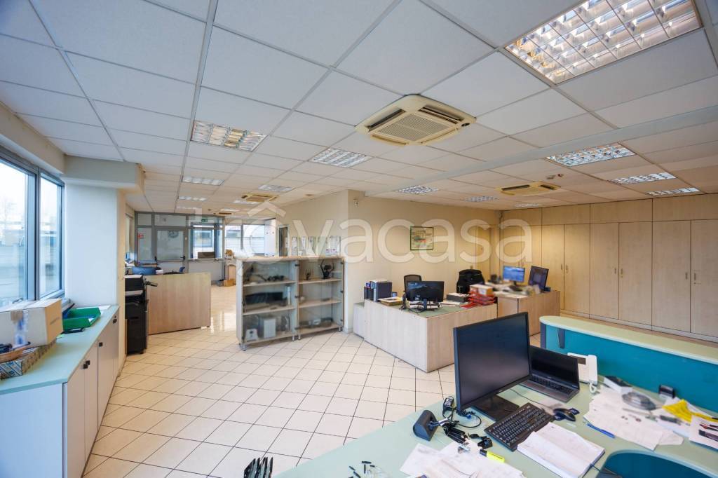 immagine annuncio 9 di 15