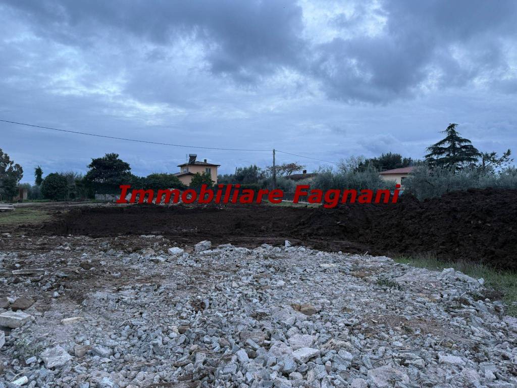 immagine annuncio 10 di 12