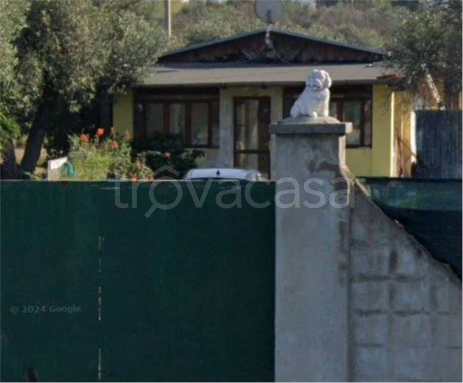 immagine annuncio 1 di 14