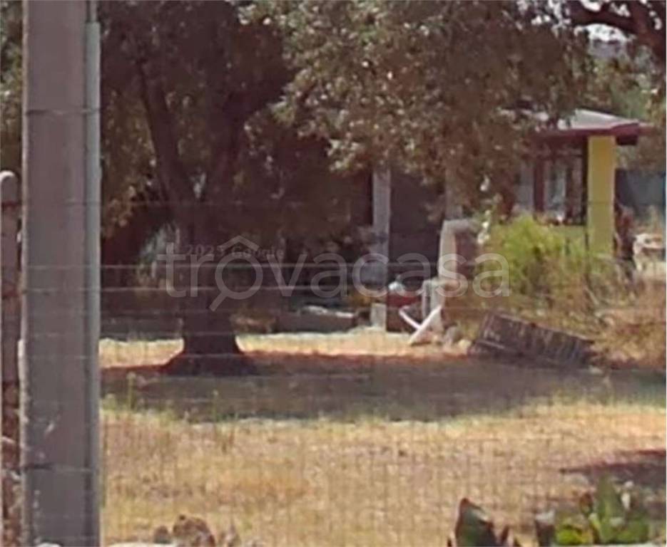 immagine annuncio 4 di 14