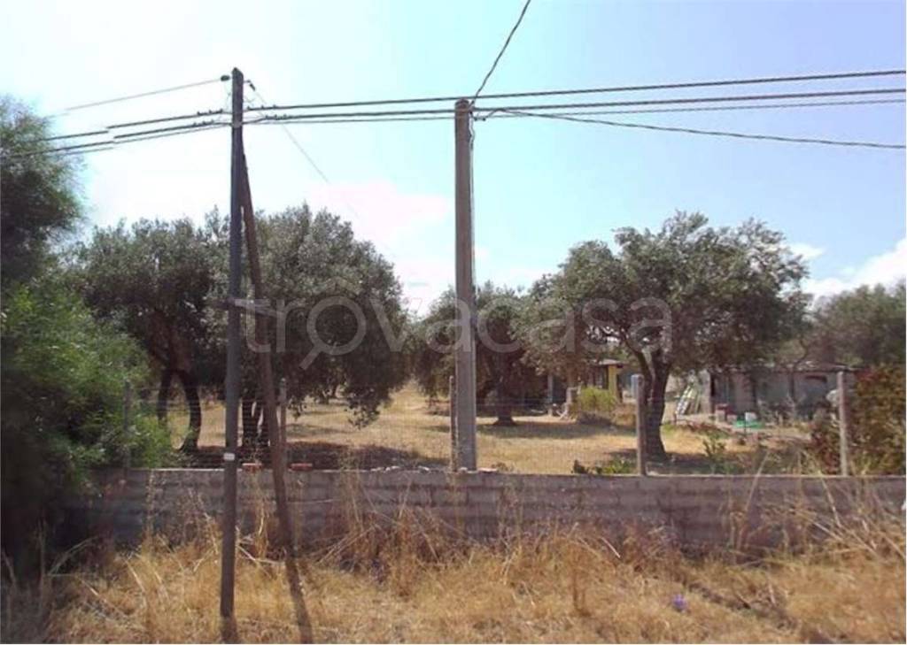 immagine annuncio 5 di 14