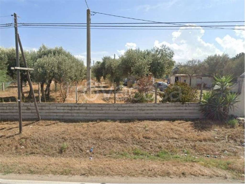 immagine annuncio 8 di 14