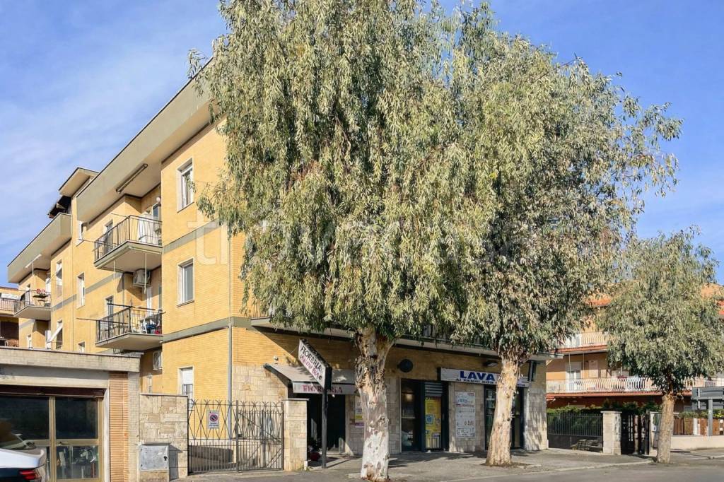 immagine annuncio 2 di 15