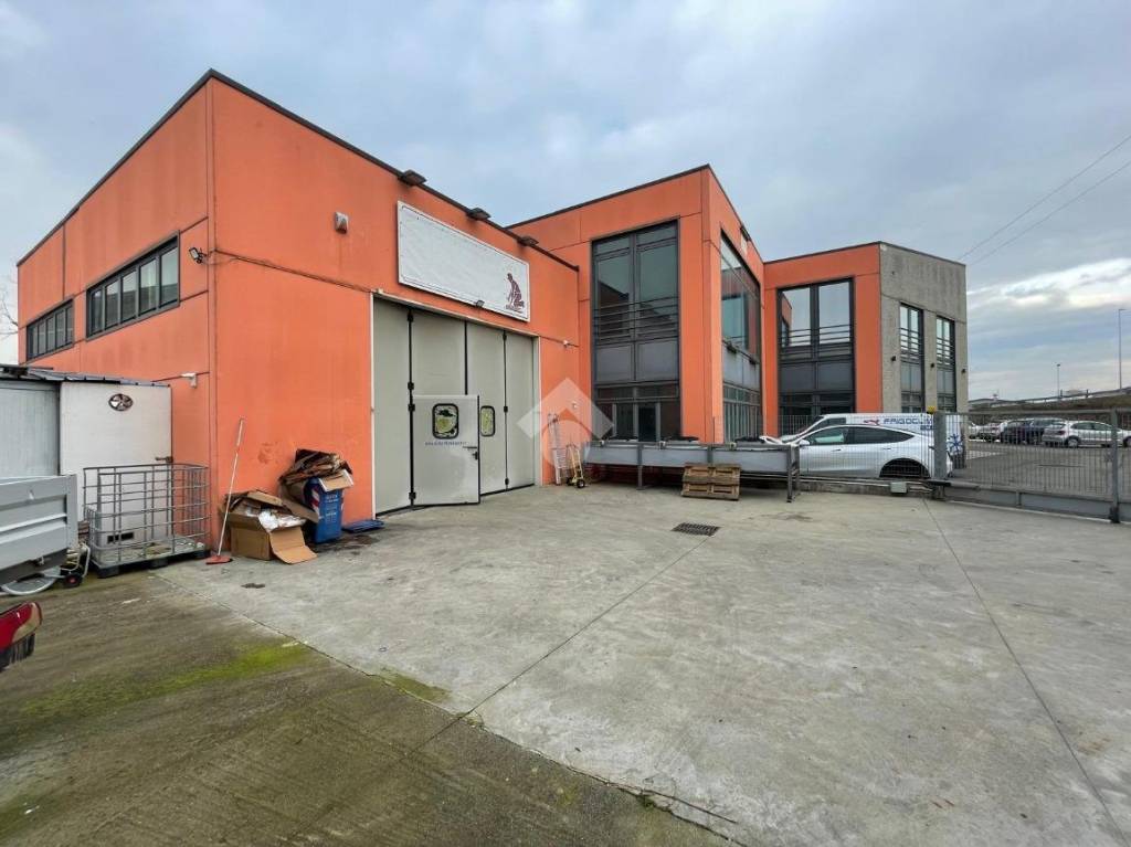 immagine annuncio 4 di 15