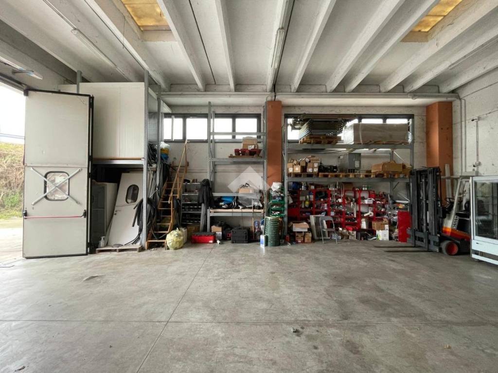 immagine annuncio 9 di 15