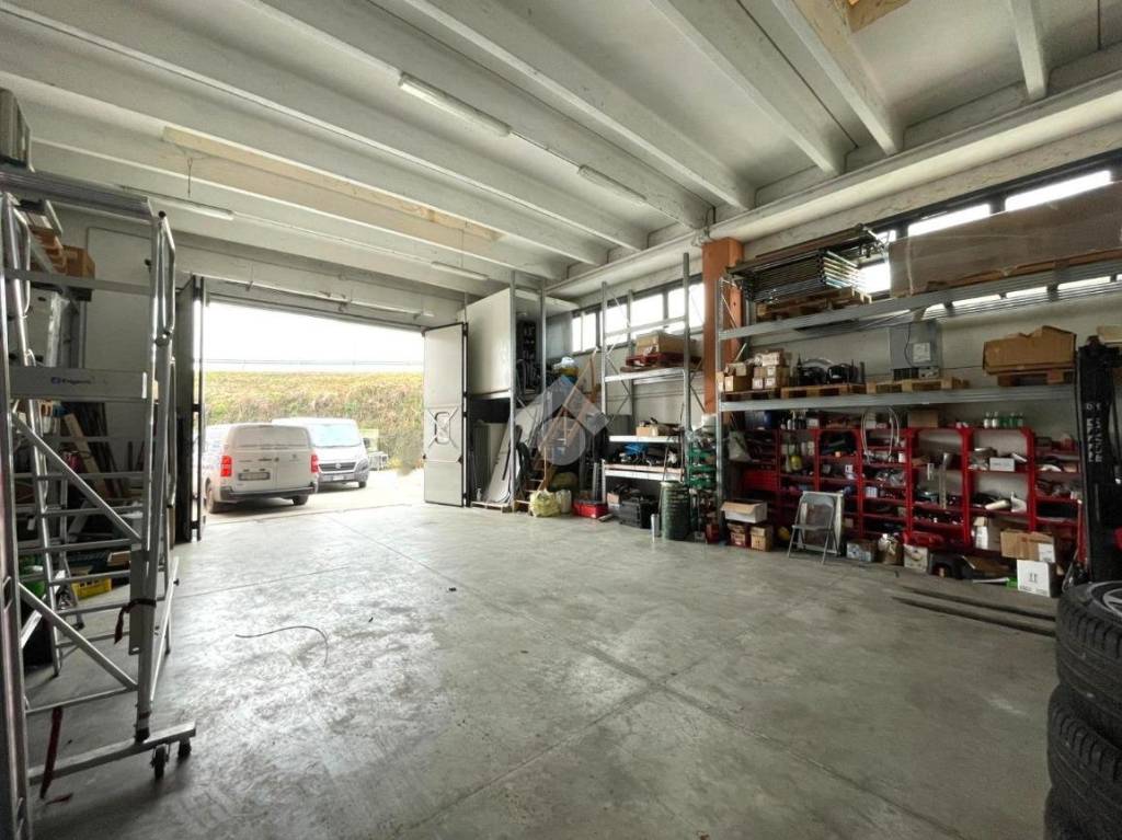 immagine annuncio 10 di 15