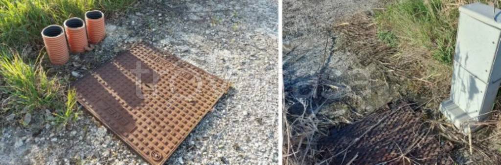 immagine annuncio 5 di 11