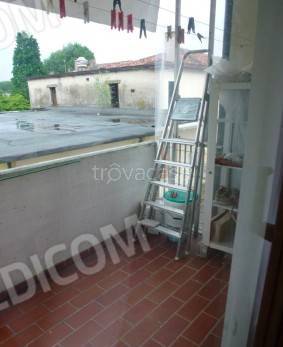 immagine annuncio 3 di 14