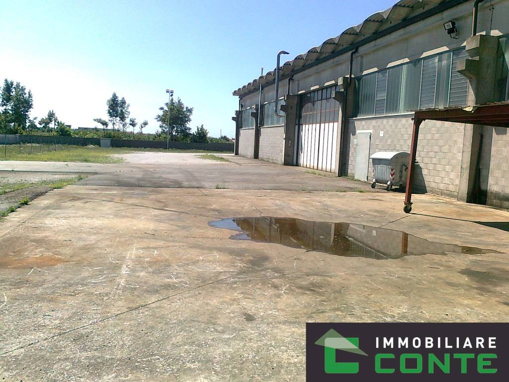 immagine annuncio 3 di 13