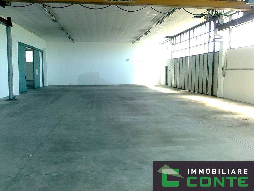 immagine annuncio 5 di 13