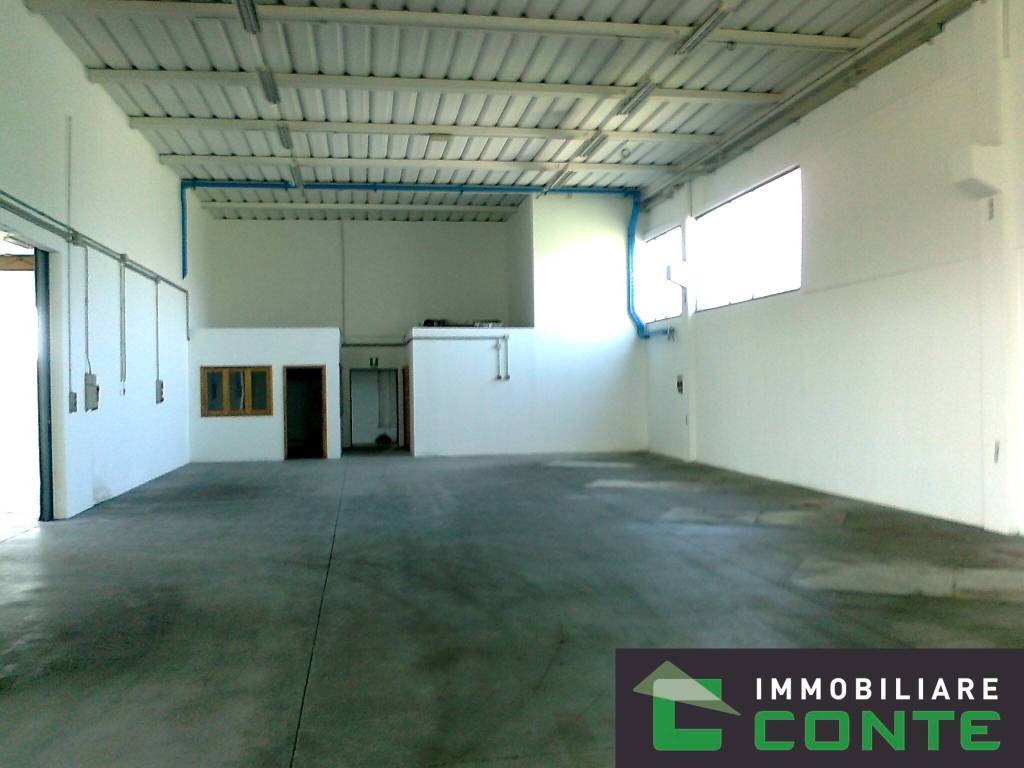 immagine annuncio 7 di 13